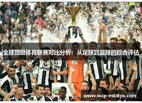 全球顶级体育联赛对比分析：从足球到篮球的综合评估