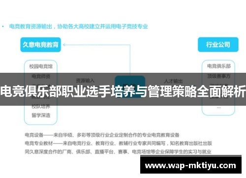 电竞俱乐部职业选手培养与管理策略全面解析