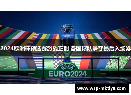 2024欧洲杯预选赛激战正酣 各国球队争夺最后入场券