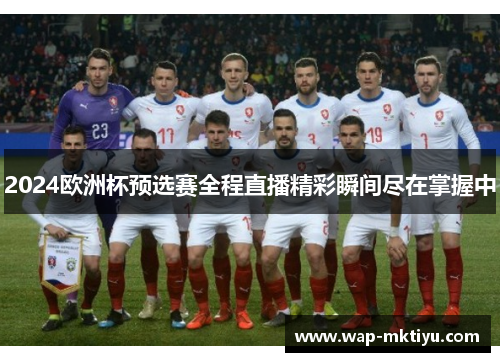 2024欧洲杯预选赛全程直播精彩瞬间尽在掌握中