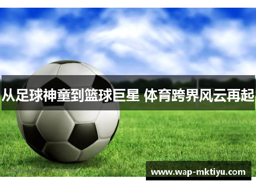 从足球神童到篮球巨星 体育跨界风云再起