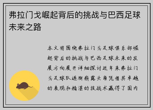 弗拉门戈崛起背后的挑战与巴西足球未来之路