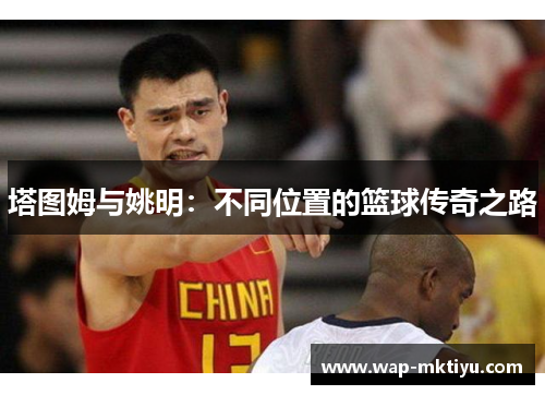 塔图姆与姚明：不同位置的篮球传奇之路